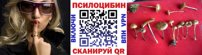 Купить где  Кедровый  Псилоцибиновые грибы GOLDEN TEACHER 