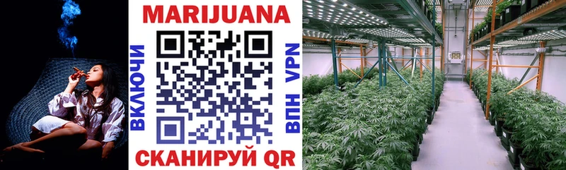 Купить где Кедровый МАРИХУАНА ГИДРОПОН